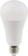 Toolcraft Daylight Bulb 15W for Residential or Commercial Use - TCFP0235 Fashion